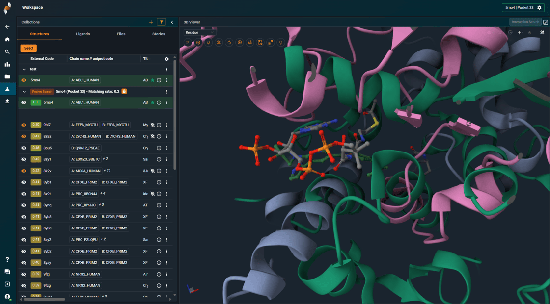Pocket similarity search