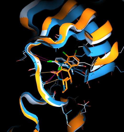 Structural insights with 3decision